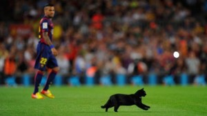 A black cat inavded the pitch before the Barca game, but brought no bad omesn as they won 3-0