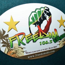 FreedomFMTurns4-8