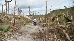 Jules Sima, age 44, rides his moto amid destruction from Hurricane Matthew on his way to his parent's destroyed home in the area of Chabet, commune of Roche-a-Bateaux, southwestern Haiti, on October 18, 2016.